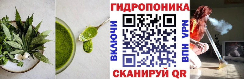 OMG рабочий сайт  даркнет сайт  Ядрин  Cannafood марихуана 