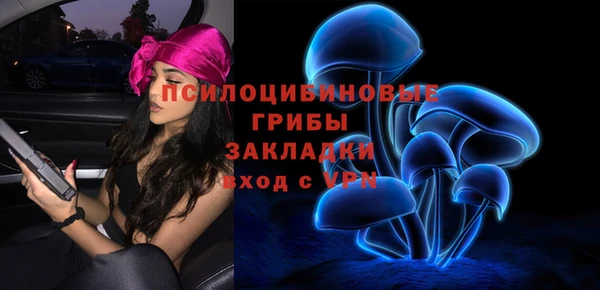 экстази Медвежьегорск